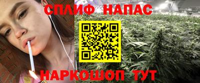 spice Тула