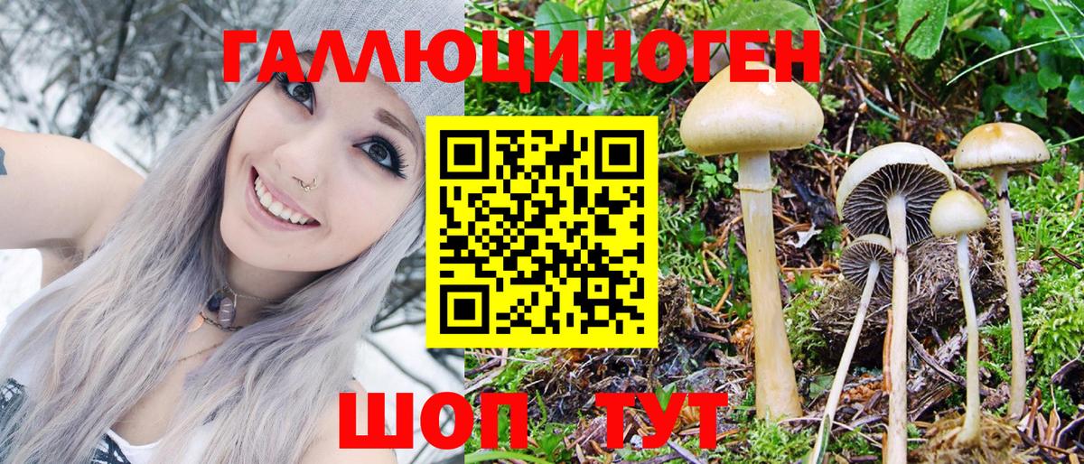 Галлюциногенные грибы Magic Shrooms  Вход с VPN  Новоуральск  Галлюциногенные грибы MAGIC MUSHROOMS 